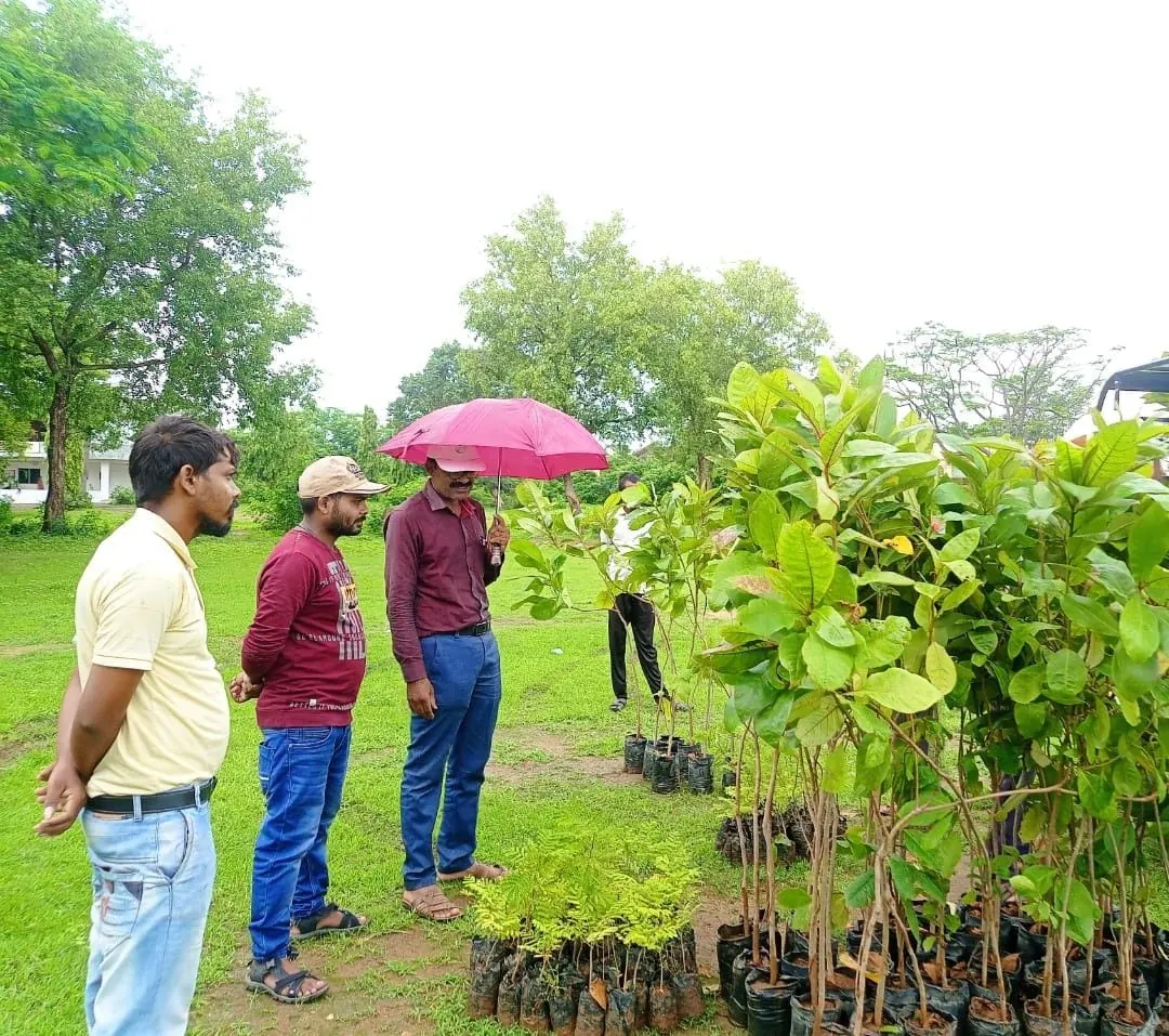 People near nursery saplings